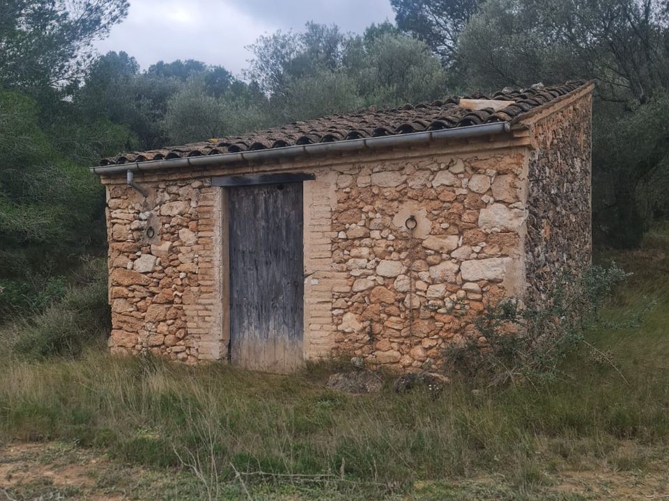 Finca i Mora D'ebre, Tarragona - foto 1